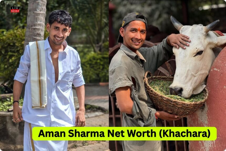 Aman Sharma Net Worth (Khahara)