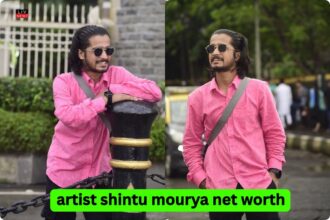 artist shintu mourya net worth